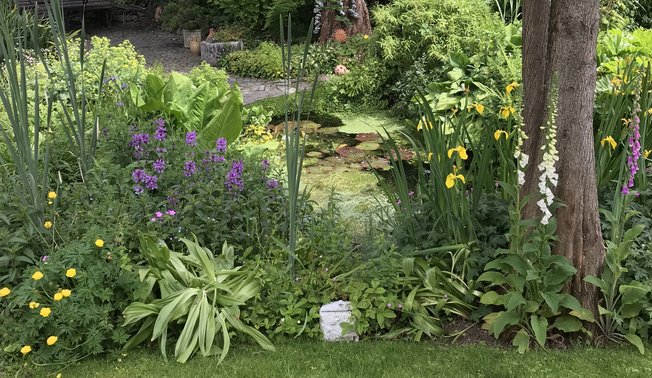 Wildgarten in Neuenrade Wildgarten in Neuenrade