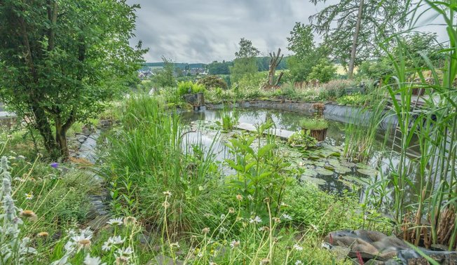 Naturgarten Breslauer Straße in Neuenrade Naturgarten Breslauer Straße in Neuenrade