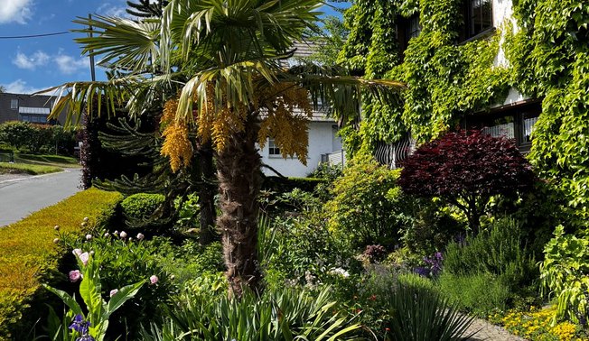 Wildgarten mit exotischen Pflanzen ©Roger Schriever Wildgarten mit exotischen Pflanzen ©Roger Schriever