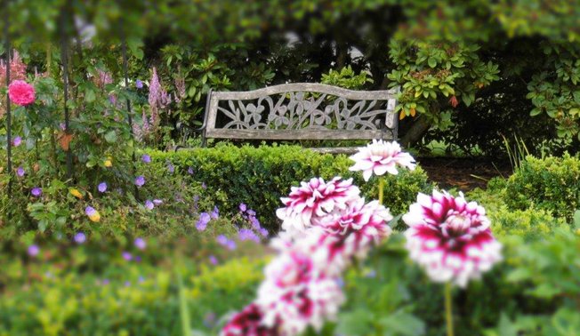 Staudenparadies in Neuenrade ©Anja Habbel Staudenparadies in Küntrop