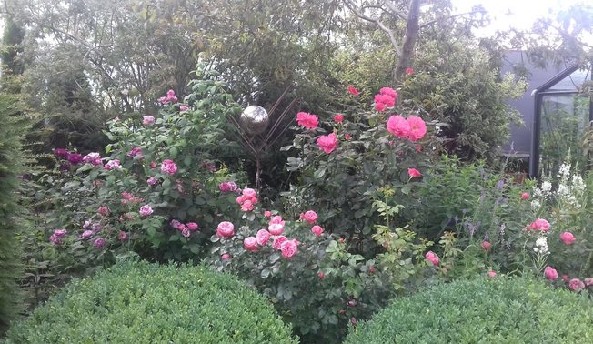 Kleines Gartenglück in Affeln ©Rita Gierse