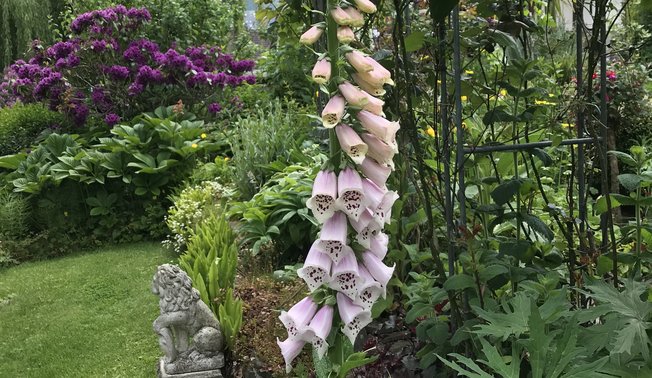 Wildgarten in Neuenrade Wildgarten in Neuenrade